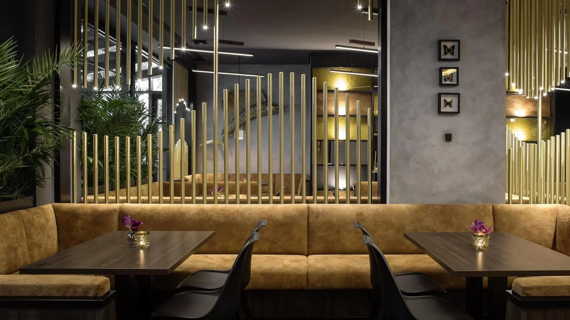 Hotel Zoe By Amano Berlin Germany